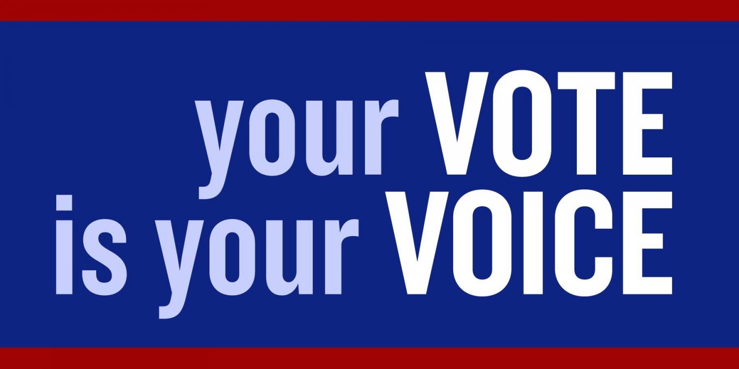 image-465810-your-vote-is-your-voice.jpg